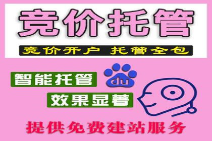 探索托管竞价sem的奥秘：一则教育行业的成功故事